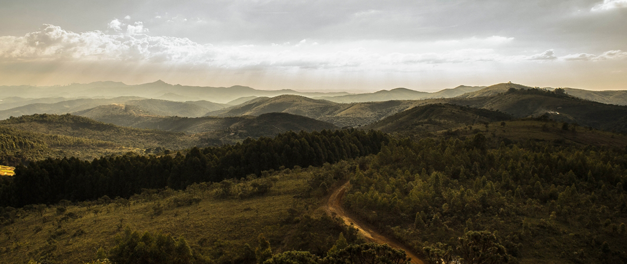 手机短信轰在线轰炸免费