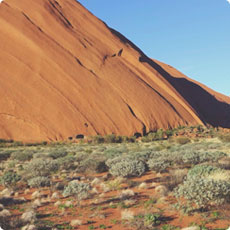电话短信轰在线轰炸免费