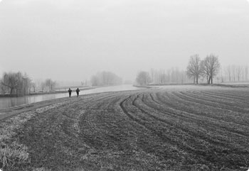 无缝集成开发的云呼网页版