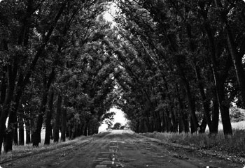 轰炸电话在线使用